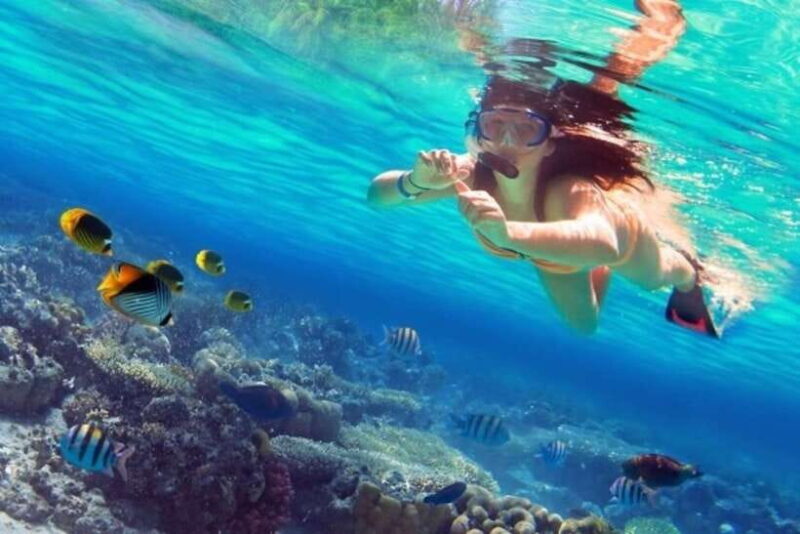 Coron: Coastal Cliffs, Beach & Malcapuya Island Hopping Tour - What Travelers Love About This Tour