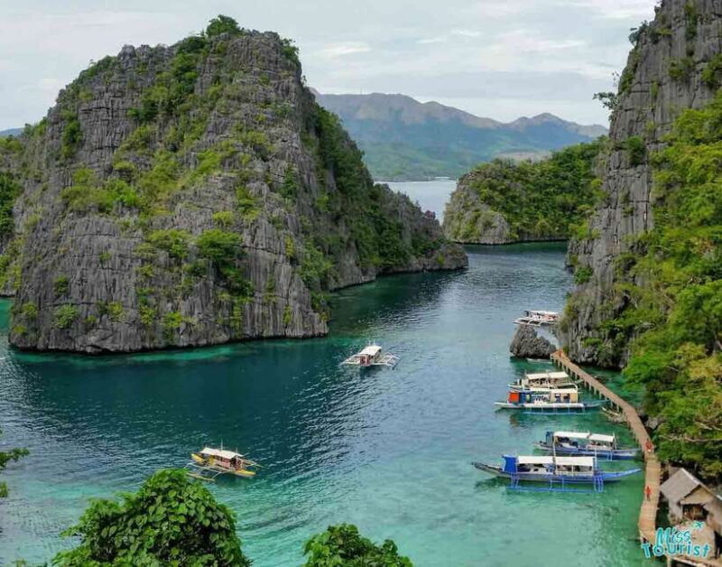 Coron Island Escapade: A Tropical Feast & Adventure - Transportation, Timing, and Other Practicalities