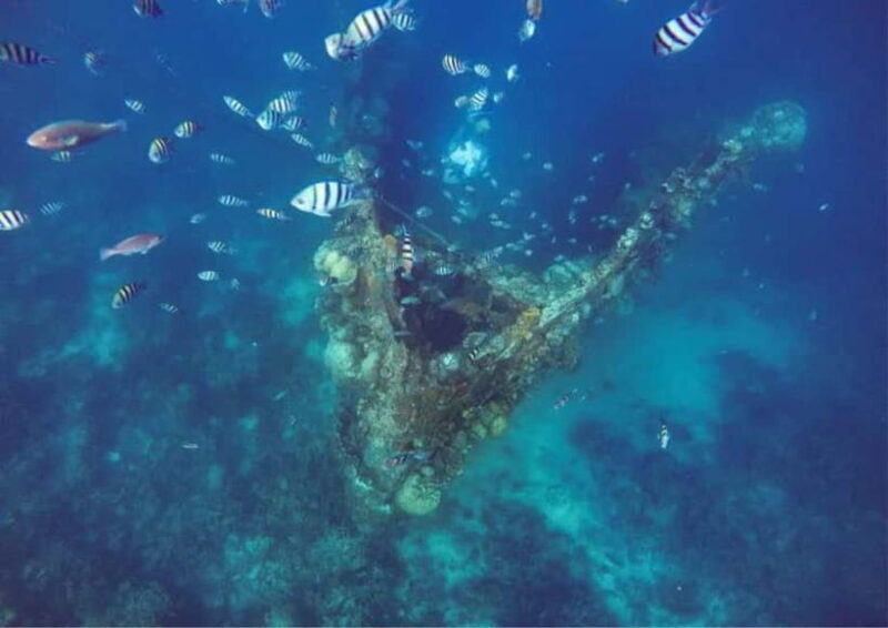 Coron: Island Tour B - Exploring Coron’s Hidden Gems and Marine Marvels