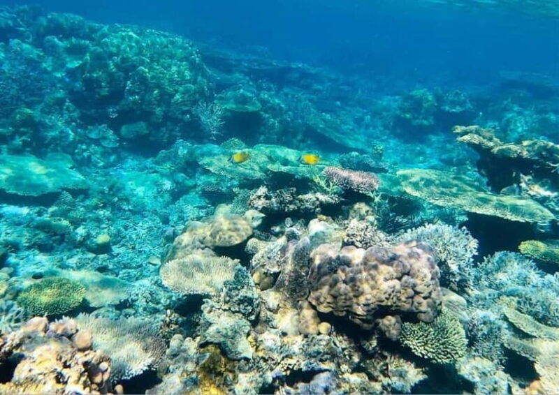 Coron: Island Tour B - Authenticity and Experience Quality