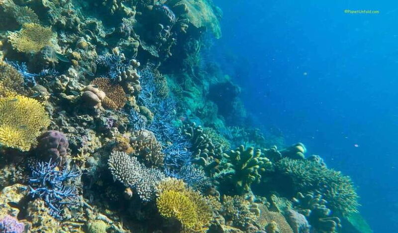 Coron Island Ultimate Tour (Private Tour) - An In-Depth Look at the Coron Island Ultimate Tour
