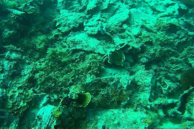 Coron Reefs & Wreck Tour (Shared Tour) - Who Should Consider This Tour?