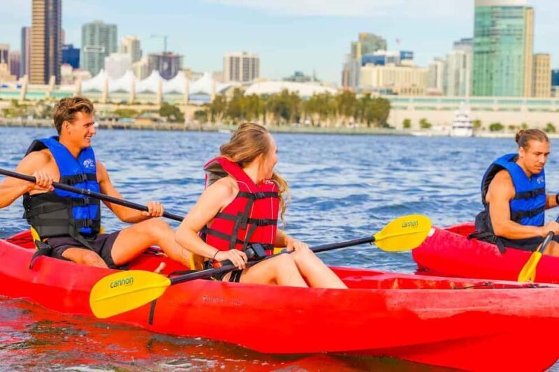 Coronado Guided Kayak Tour 90-Min - The Itinerary: What to Expect on the Water