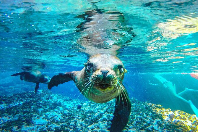 Coronado Island Adventure, snorkeling & picnic on the beach - Discovering Loreto’s Coronado Island Adventure: An Authentic Day in Baja California