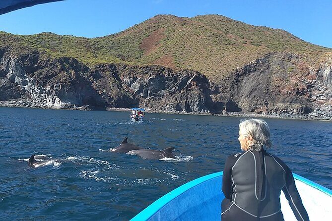 Coronado Island Adventure, snorkeling & picnic on the beach - Who Should Book This Tour?