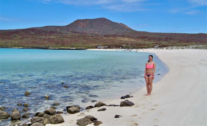 Coronado Island and Snorkel Tour - An In-Depth Look at the Coronado Island and Snorkel Tour