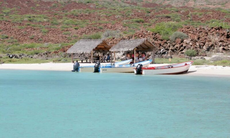Coronado Island and Snorkel Tour - Final Thoughts: Is It Worth It?