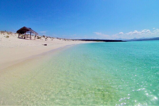 Coronado Island and Snorkel Tour - The Value of This Tour