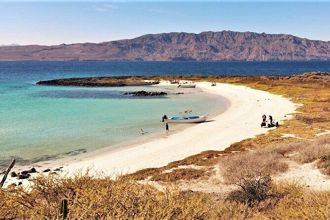 Coronado Island and Snorkel Tour - Who Will Appreciate This Tour?