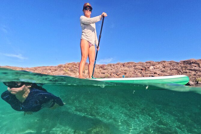 Coronado Island Visit and Sea Lions Swimming - Final Thoughts: Who Is This Tour Best For?