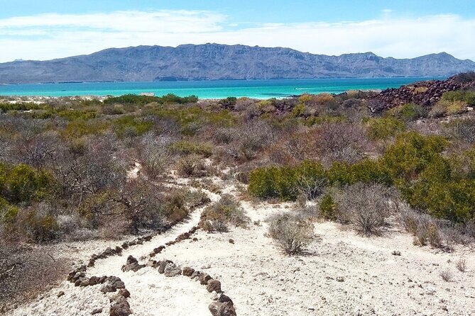 Coronados Island Tour in Loreto Bay - Key Points