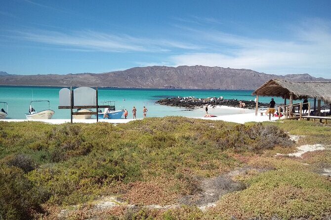 Coronados Island Tour in Loreto Bay - An In-Depth Look at the Coronados Island Tour