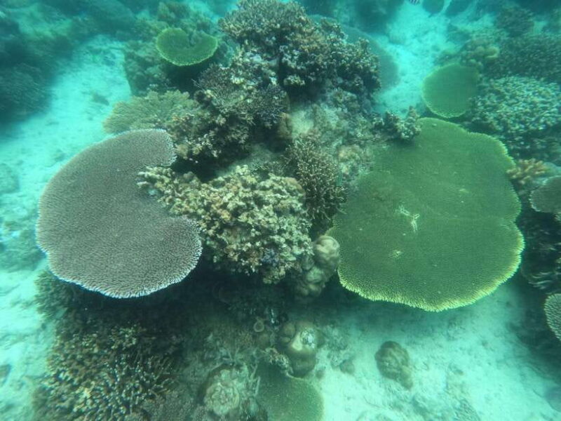 CORON:ISLAND TOUR A Lakes and Snorkeling with Corals - FAQ