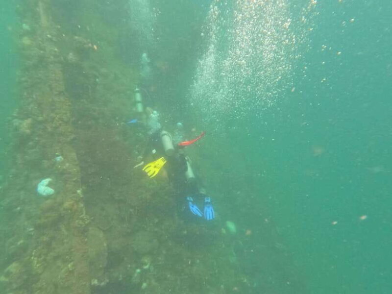 CORON:REEF AND WRECK - 2 JAPANESE WRECK AND PASS ISLAND TOUR - What’s Included and What’s Not