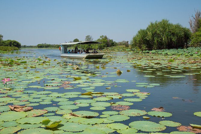 Corroboree Billabong Wetland Cruises - 2 hour Sunset Cruise - An In-Depth Look at the Experience