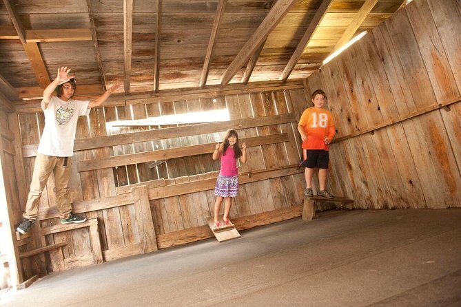 Cosmos Mystery Area Admission - What Makes the Cosmos Mystery Area Special?
