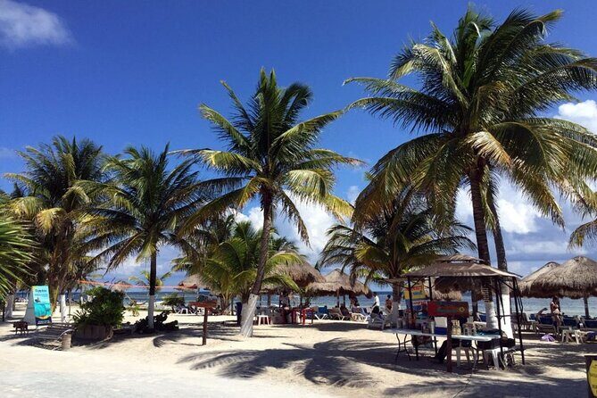 Costa Maya All Included Beach Break from Cruise Port - Final Thoughts: Value and Authenticity