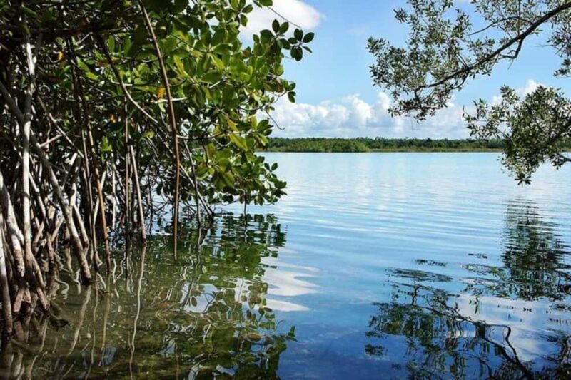 Costa Maya: Bacalar Seven Color Lagoon Kayak Adventure - What to Expect: The Practical Side
