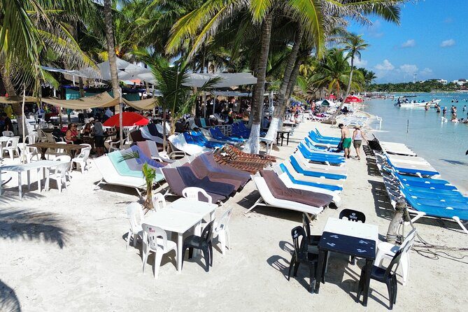 Costa Maya Beach Breack Food & Drinks - The Real-World Experience (Based on Reviews)