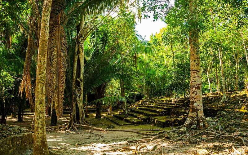 Costa Maya: Chacchoben Mayan Ruins Private Cruise Excursion - Transportation and Timing
