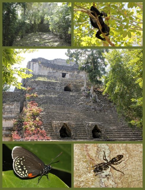 Costa Maya: Chacchoben Mayan Temples - FAQs