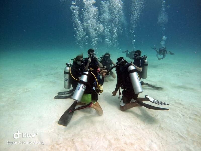 Costa Maya: Discover Scuba Diving Reef Experience - Why This Tour Offers Great Value