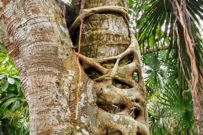 Costa Maya Shore Excursion: Chacchoben Day Trip - Frequently Asked Questions