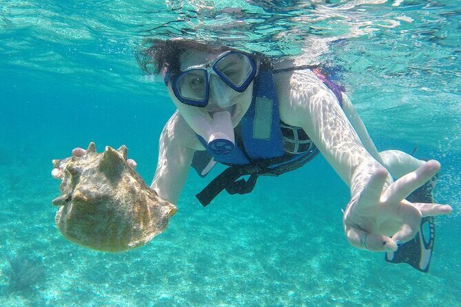 Costa Maya Snorkel Tour - The Itinerary: What to Expect from the Snorkel Tour