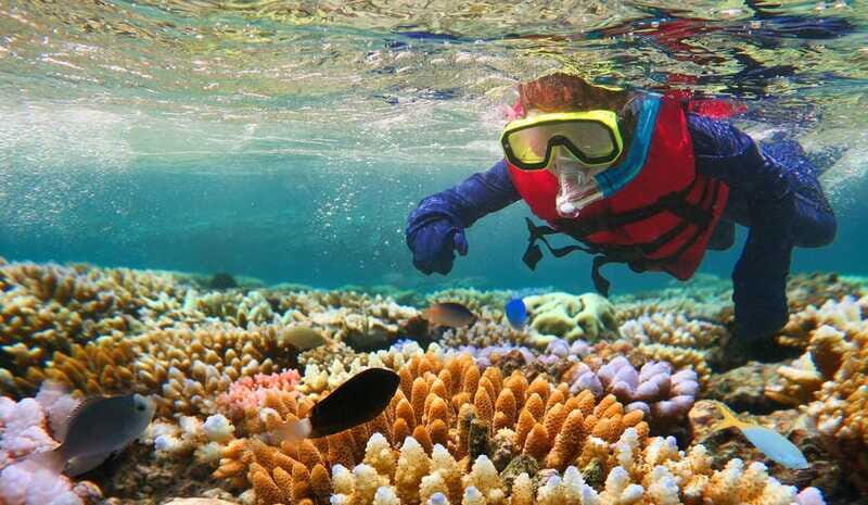 Costa Maya: Snorkeling Adventure by Boat with Photos - FAQ