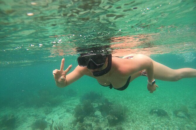 Costa Maya, snorkeling on the reef with fish, looking for turtles - The Sum Up