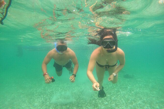 Costa Maya, snorkeling on the reef with fish, looking for turtles - FAQ