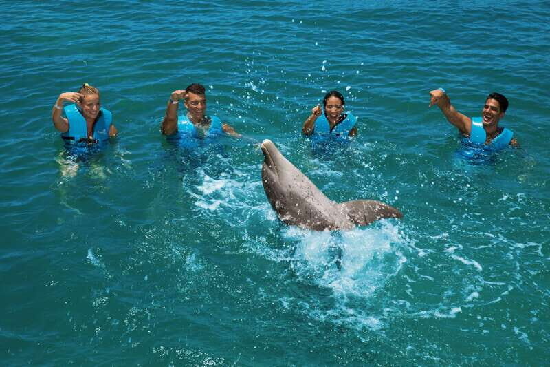 Costa Mujeres: Swim with Dolphins - A Deep Dive into the Dolphin Encounter Experience