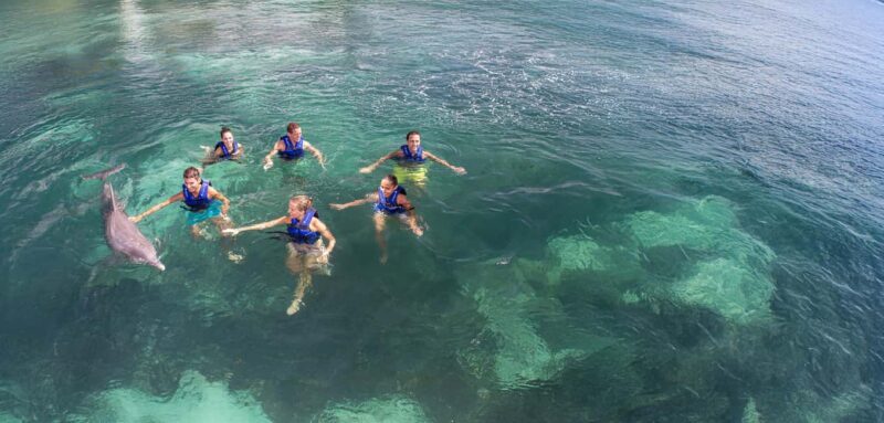 Costa Mujeres: Swim with Dolphins - Final Thoughts: Is It Worth It?