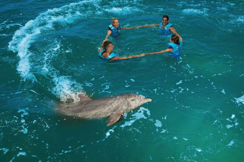 Costa Mujeres: Swim with Dolphins - FAQs