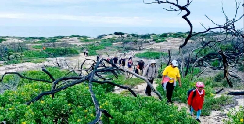 Costal Hiking Sacramento Trail: Port Elizabeth - The Sum Up