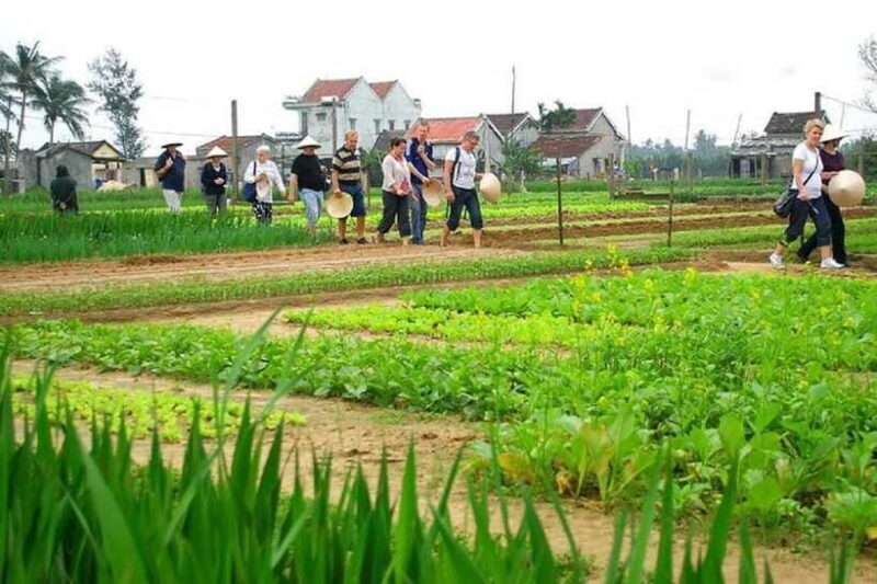 Countryside Biking -Farming -Market -Cooking Class In Hoi An - FAQ