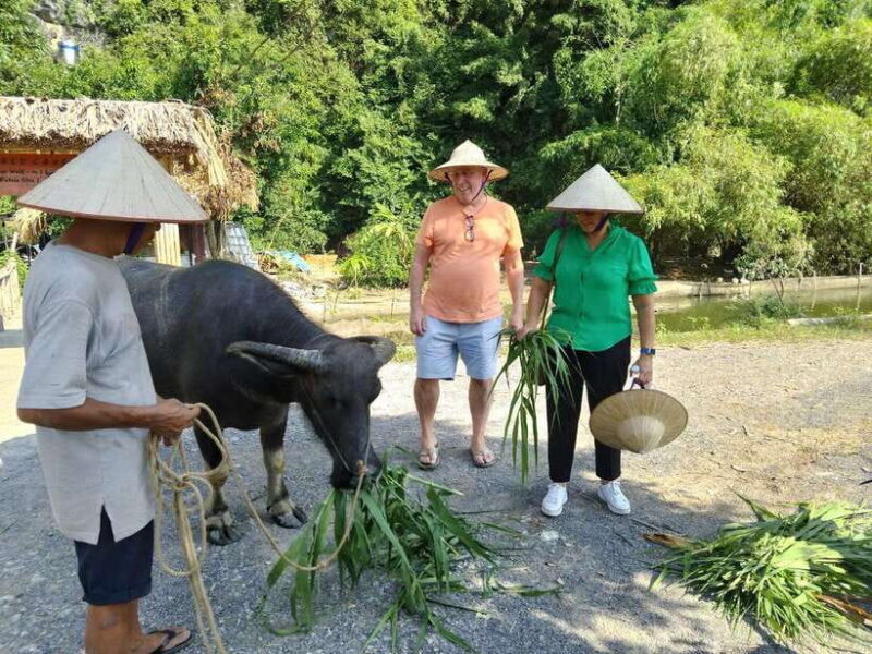 Countryside Motorbike Tour in Ninh Binh/ Pick up Ninh Binh - Who Will Enjoy This Tour?
