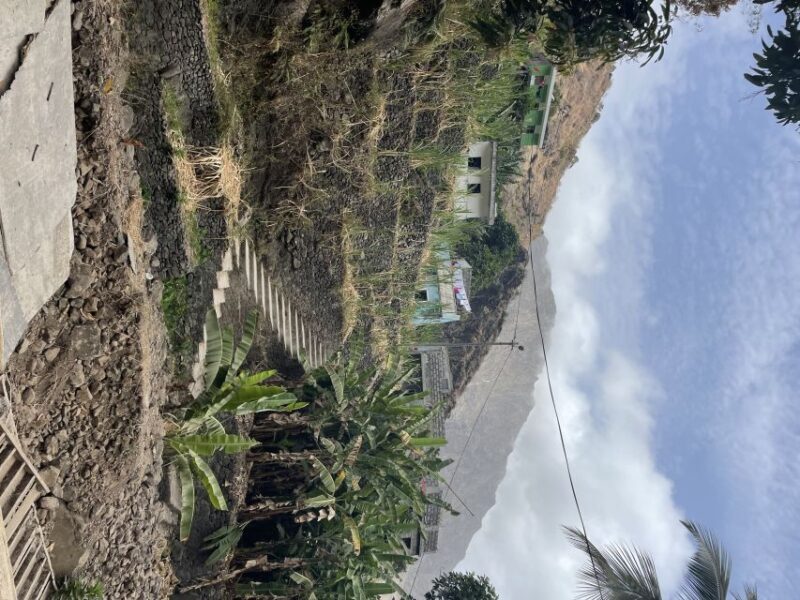 CovaPaúl Valley Trek: Santo Antão Day Trip by Ferry - FAQ