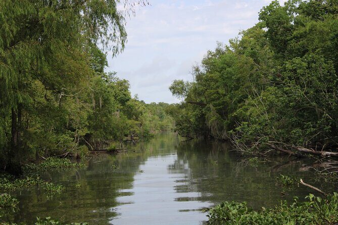 Covered Boat Swamp Tour with Transportation from New Orleans - What You Can Expect from the Tour