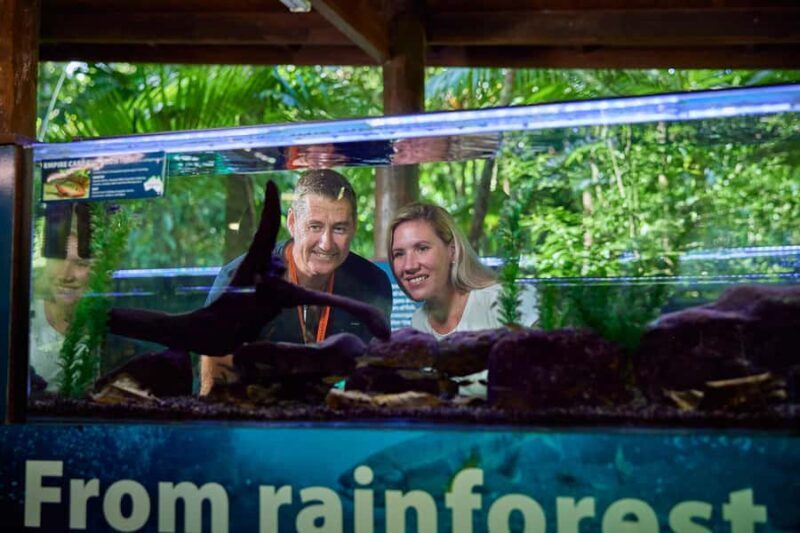 Cow Bay: Daintree Discovery Centre Entry Ticket - The Sum Up