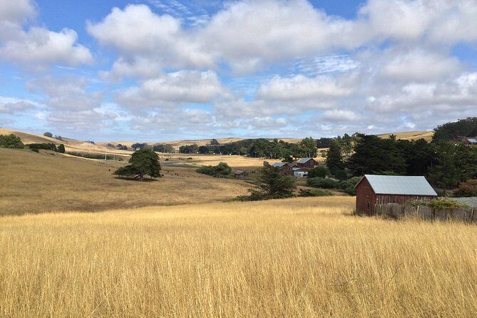Cow Heaven: A Self-Guided Driving Tour from Point Reyes Seashore to Tomales - An In-Depth Look at the Itinerary and Experience