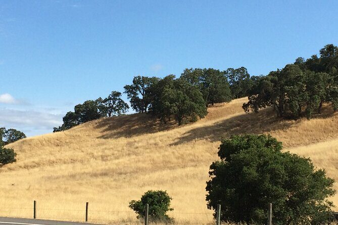 Cow Heaven: A Self-Guided Driving Tour from Point Reyes Seashore to Tomales - FAQs