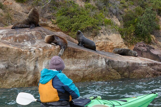 Cowan Creek Lunch paddle with Aboriginal rock art - What the Reviews Tell Us