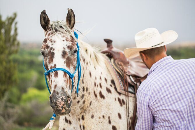 Cowpoke Ride: Adventurous horseback tour just 9 MILES from Sedona - Value and Pricing: Does it Offer Good Bang for Your Buck?