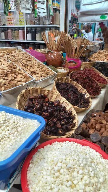 Coyoacan, history and life in a magical neighborhood - Key Points