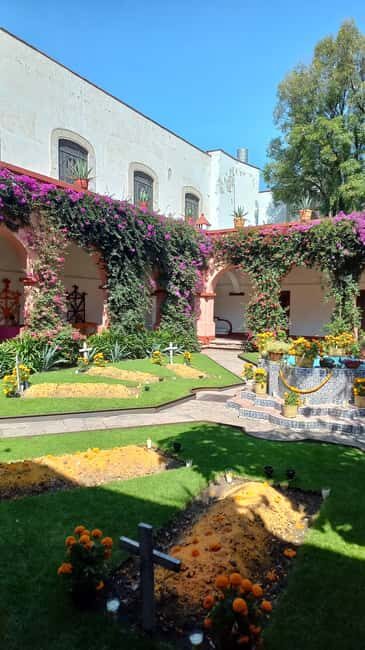 Coyoacan, history and life in a magical neighborhood - Introduction: Why This Tour Gets Our Attention