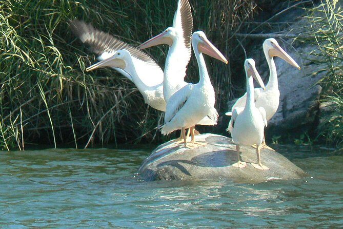 Coyuca Lagoon From Acapulco - How the Itinerary Flows and Why It Matters
