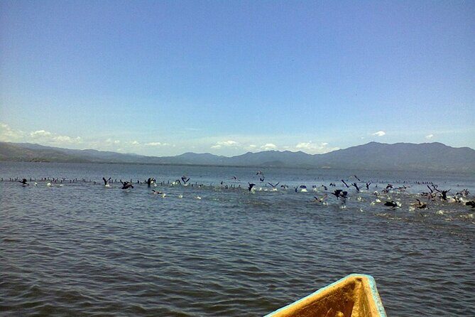 Coyuca Lagoon Tour in Acapulco - FAQ