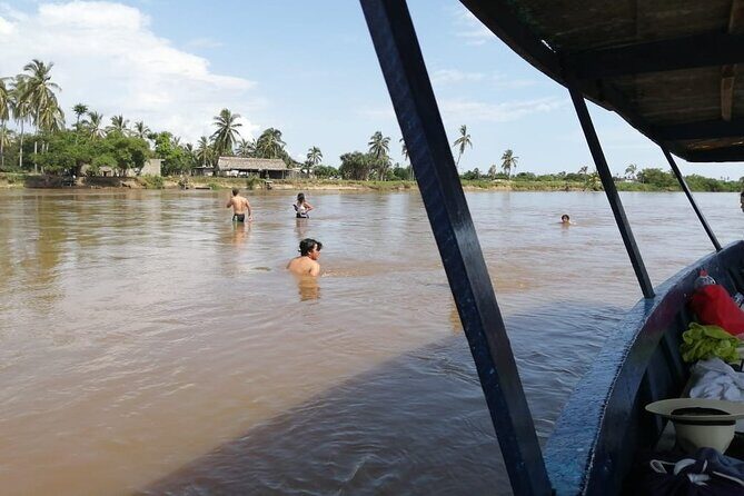 Coyuca Town Tour and Baby Turtle Release - Who Should Consider This Tour?