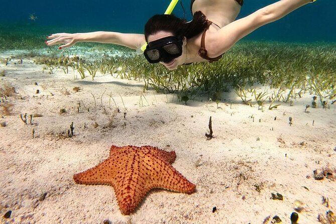 Cozumel 4 Hour Boat Sky Tour - FAQ